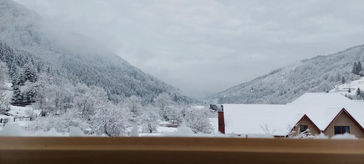Садиба Квітка Карпат Rusʼka Mokra Buitenkant foto