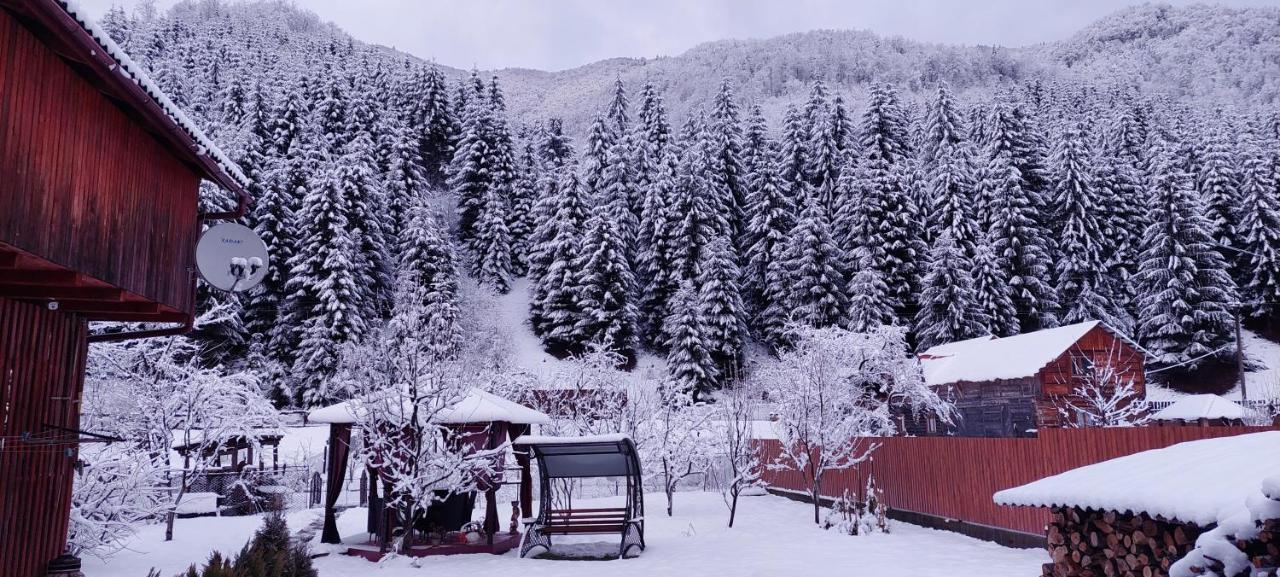 Садиба Квітка Карпат Rusʼka Mokra Buitenkant foto